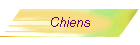 Chiens